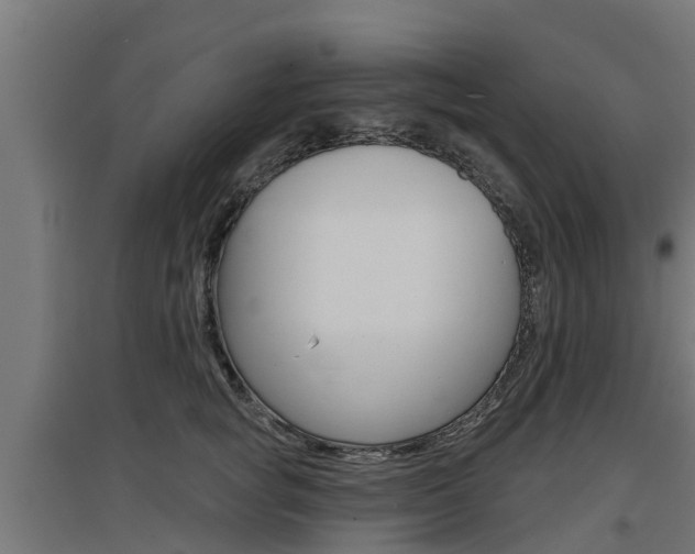 X0000097630757200802290844