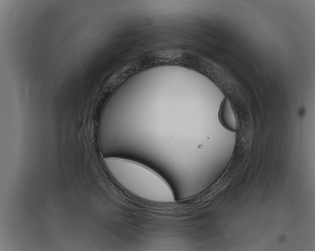 X0000097630758200802290844