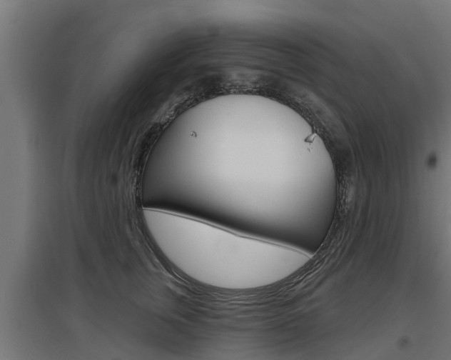 X0000097630759200802290844