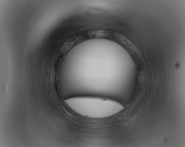 X0000097630760200802290844