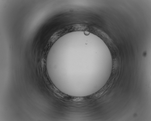 X0000097630761200802290844