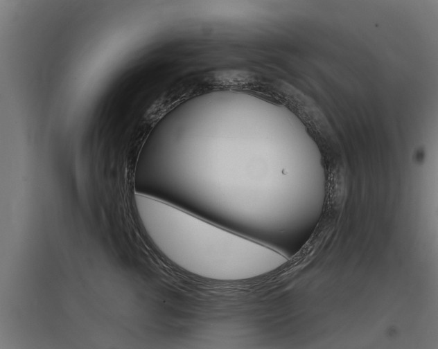 X0000097630762200802290844