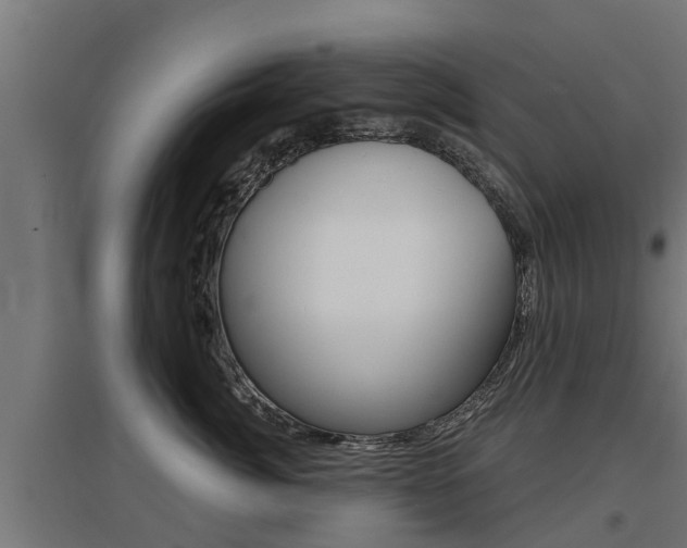 X0000097630764200802290844