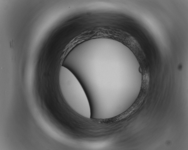 X0000097630765200802290844