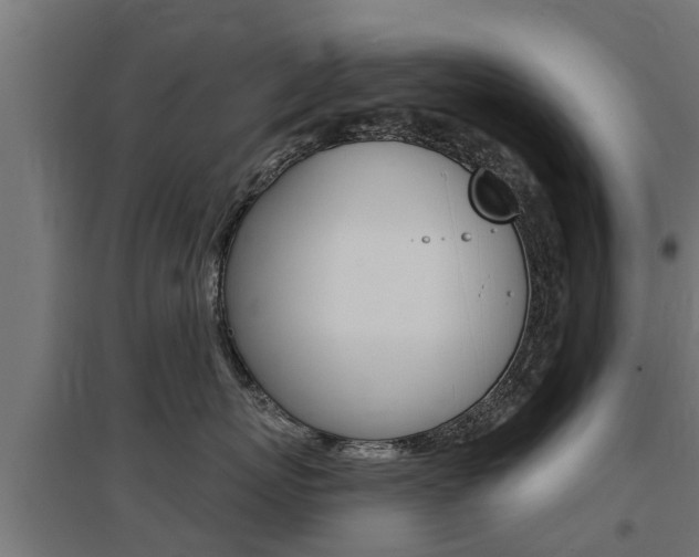 X0000097630767200802290844