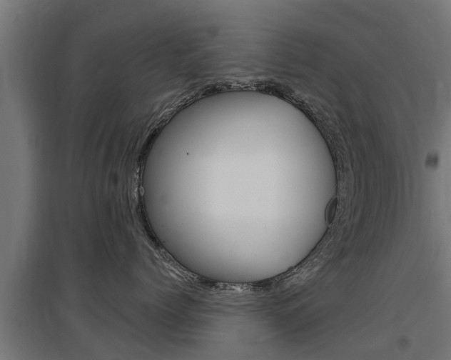 X0000097630768200802290844