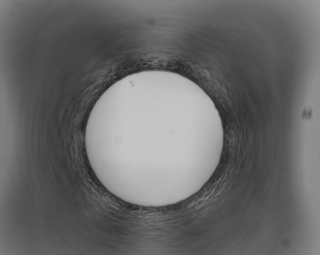 X0000097630769200802290843