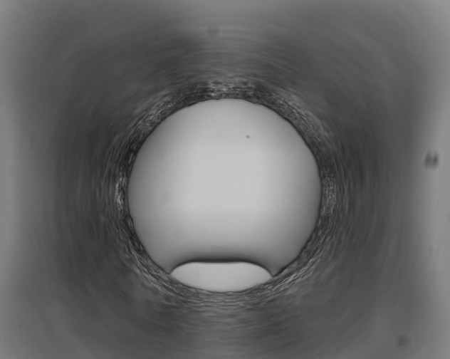 X0000097630770200802290843