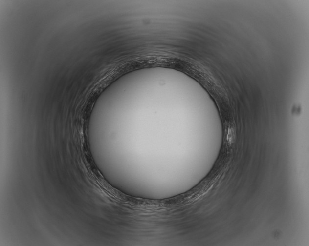 X0000097630771200802290843
