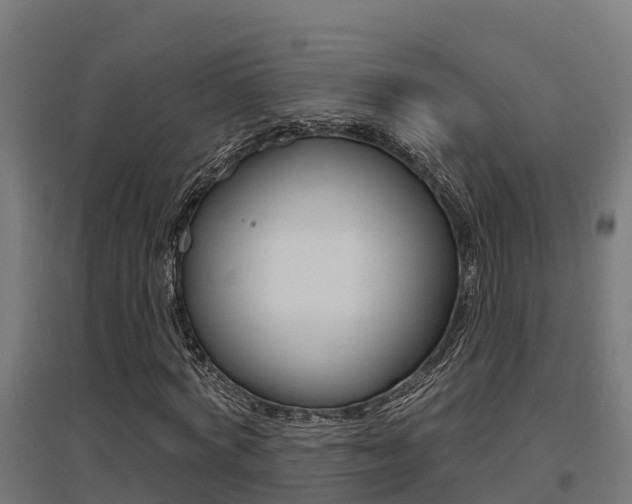 X0000097630772200802290843
