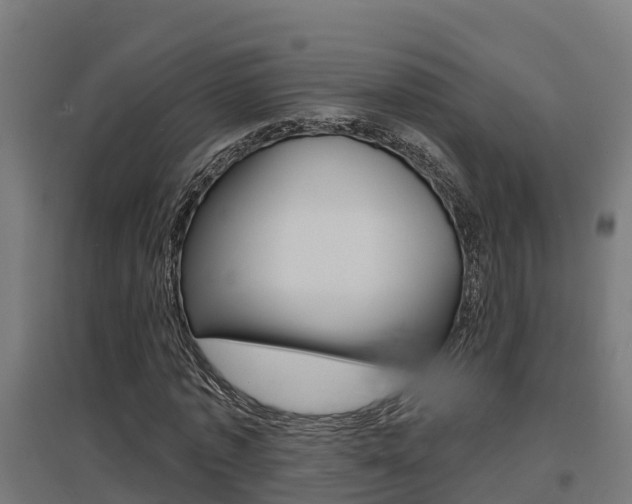X0000097630773200802290843
