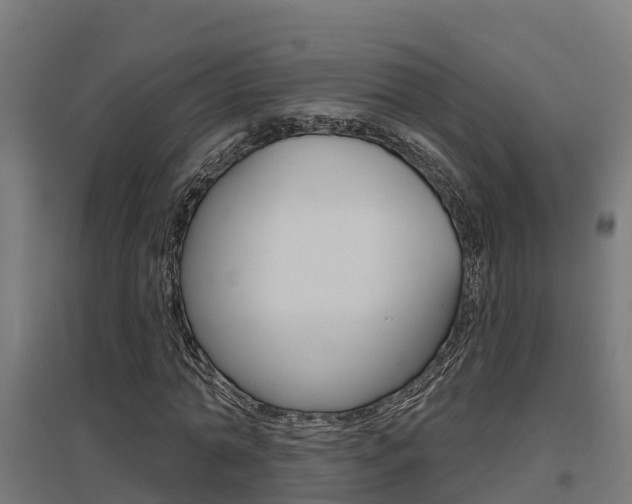 X0000097630774200802290843
