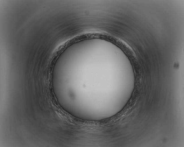 X0000097630775200802290843