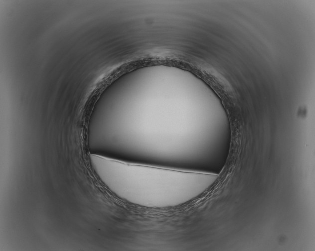 X0000097630776200802290843