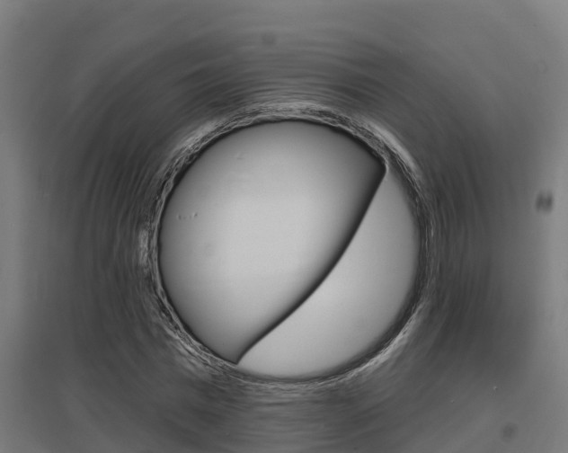 X0000097630777200802290843