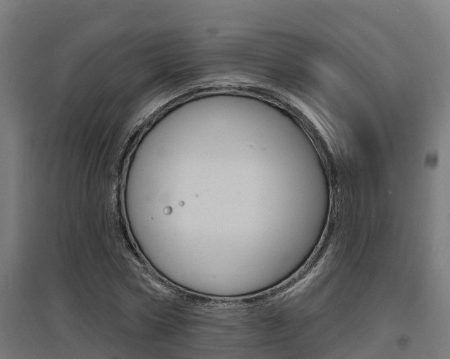 X0000097630778200802290843