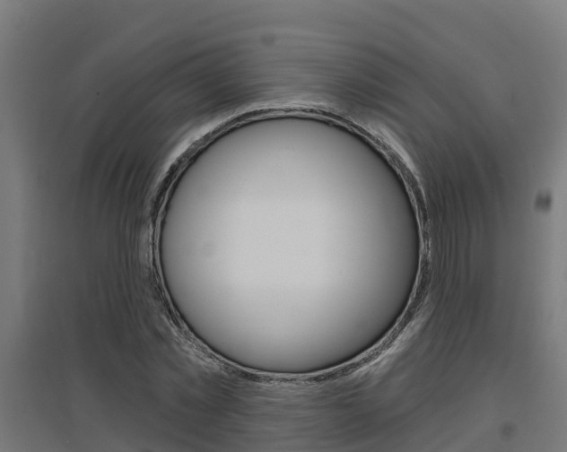 X0000097630781200802290843