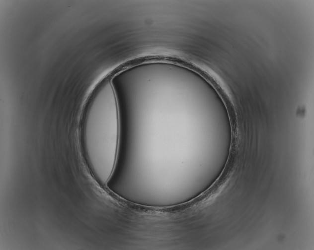 X0000097630783200802290843