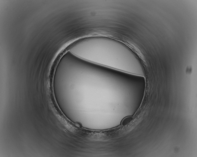 X0000097630784200802290843
