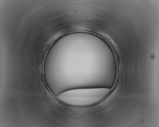 X0000097630785200802290843