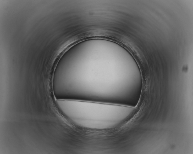 X0000097630786200802290843