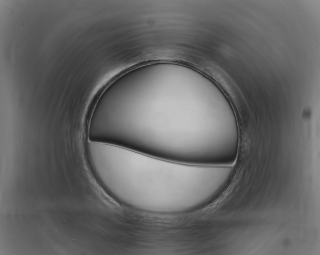 X0000097630787200802290843