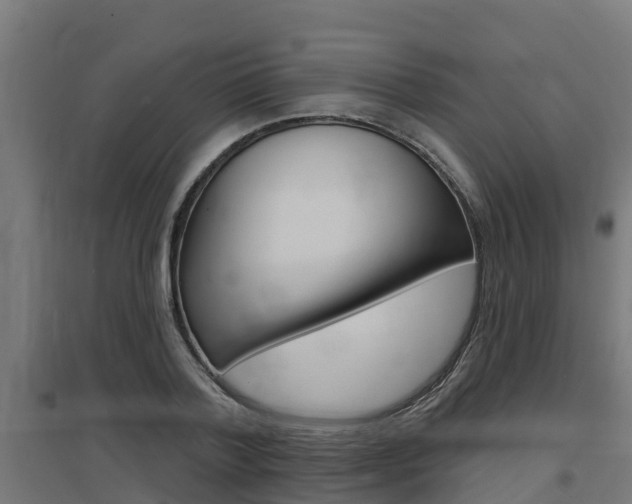 X0000097630788200802290843