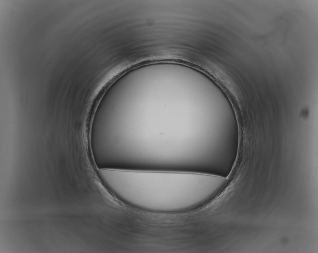 X0000097630789200802290843