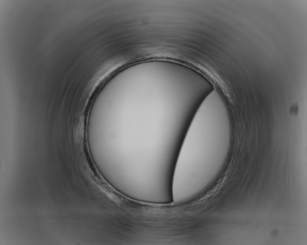 X0000097630790200802290843