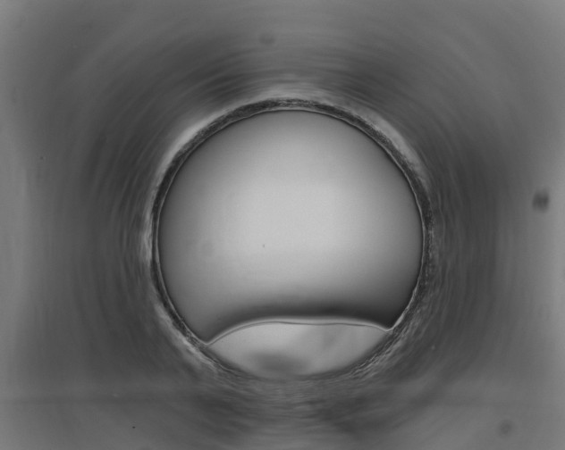 X0000097630791200802290843