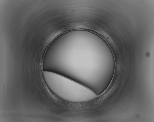 X0000097630793200802290843