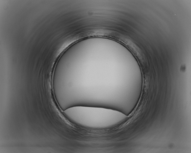 X0000097630794200802290843