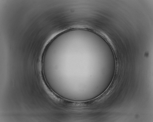 X0000097630795200802290843