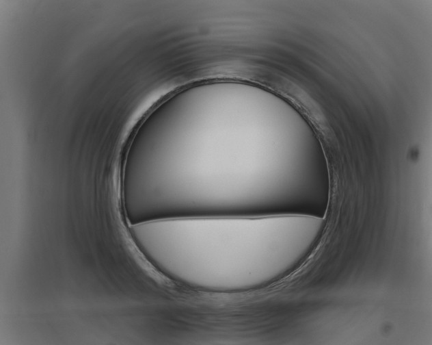 X0000097630796200802290843