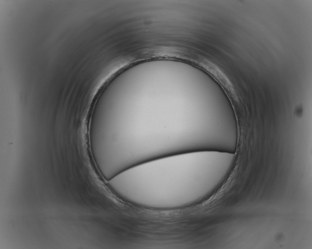 X0000097630798200802290843