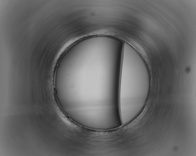 X0000097630800200802290843