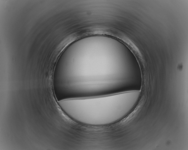 X0000097630801200802290843