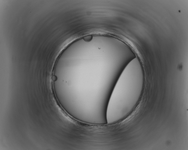 X0000097630802200802290843