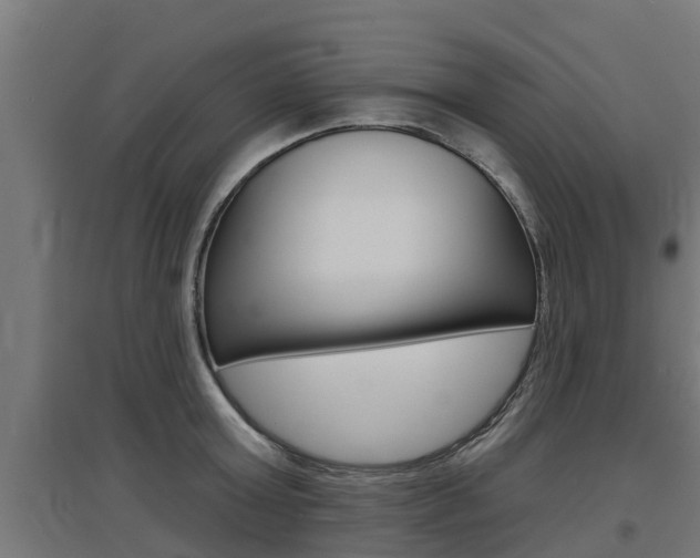 X0000097630803200802290843