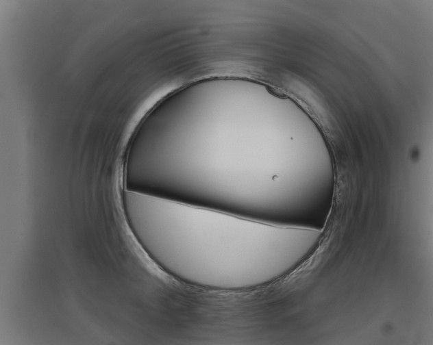X0000097630804200802290843