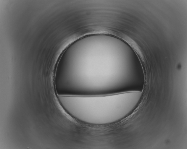 X0000097630805200802290843