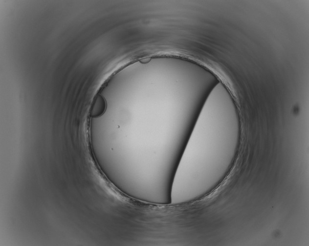 X0000097630806200802290843