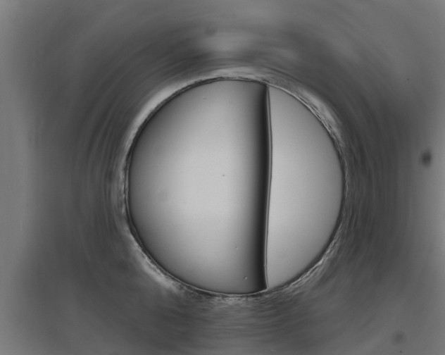 X0000097630808200802290843