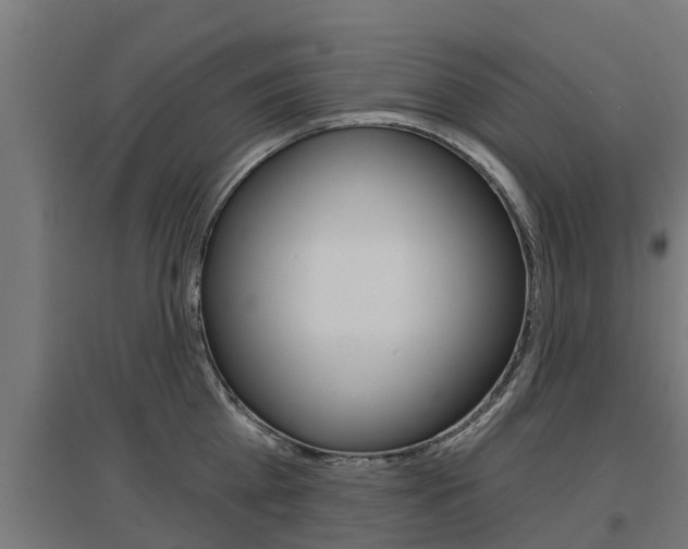 X0000097630809200802290843