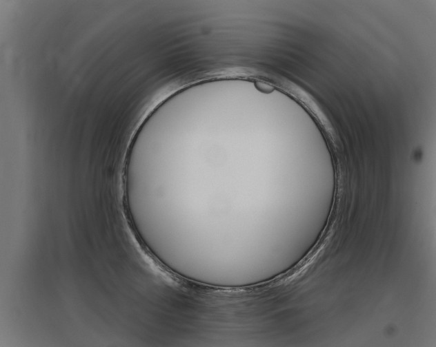 X0000097630810200802290843
