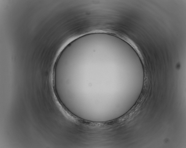 X0000097630811200802290843