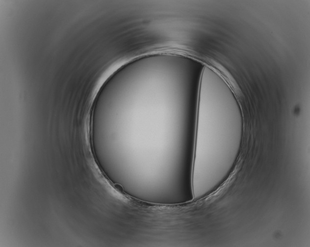 X0000097630812200802290843
