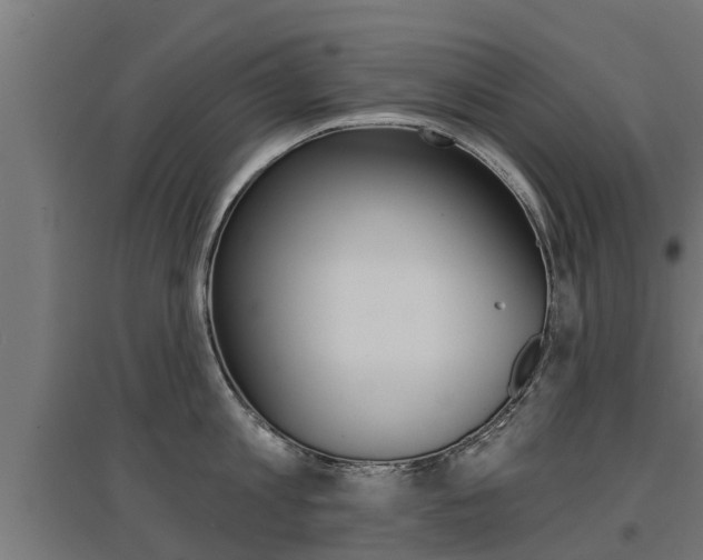 X0000097630813200802290843