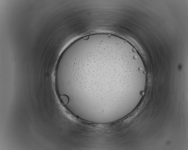 X0000097630814200802290843