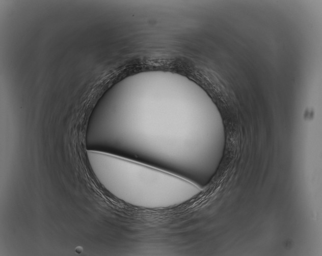 X0000097630817200802290842